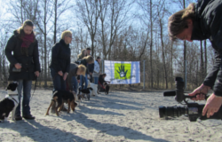 bistedokter20130509