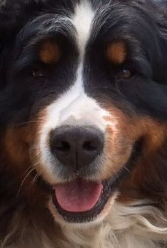 Tara close up