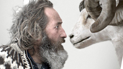 rams