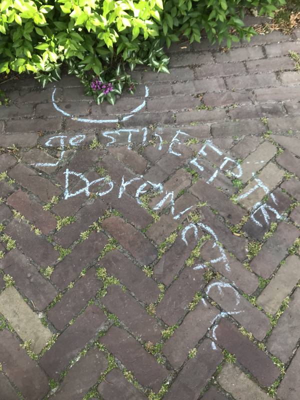 stoepkrijten gestreepte dovenetel
