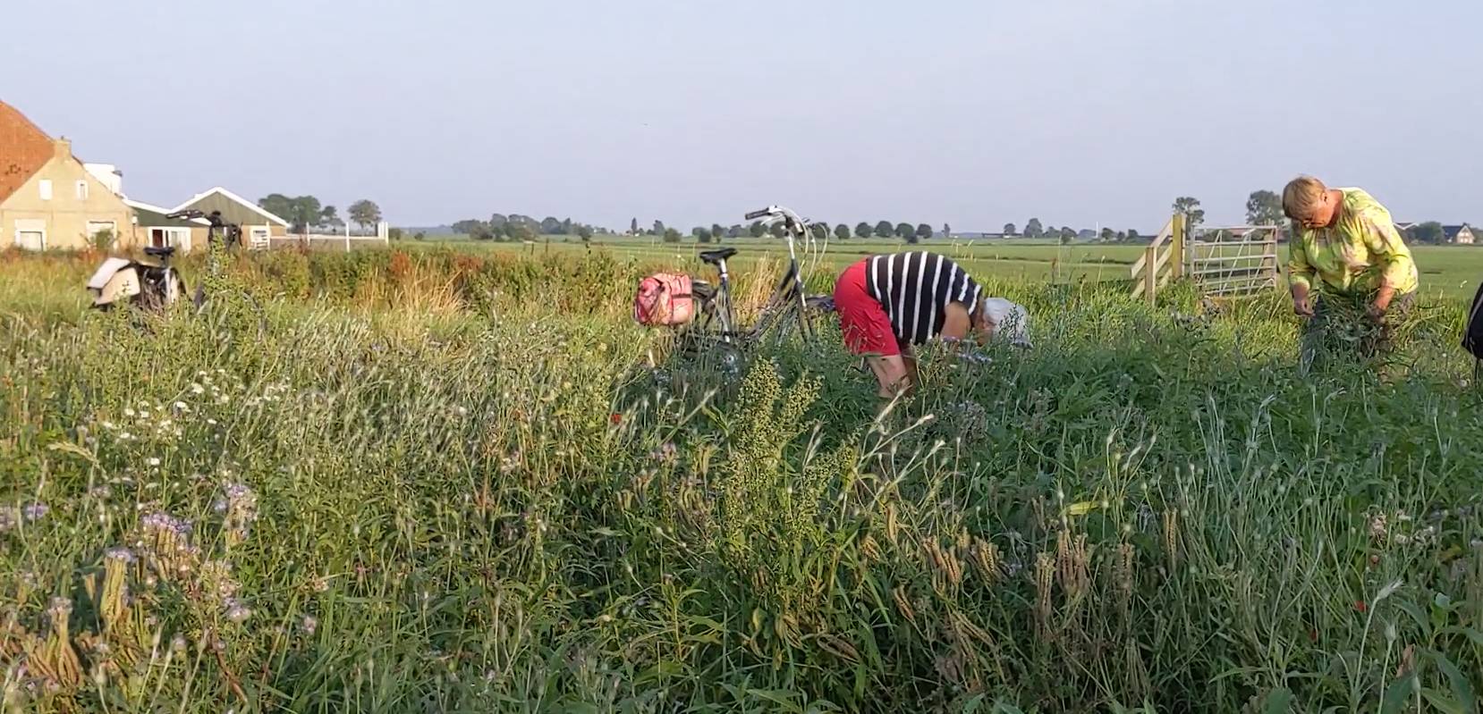 werkgroep biodiversiteit augustus2020 gras