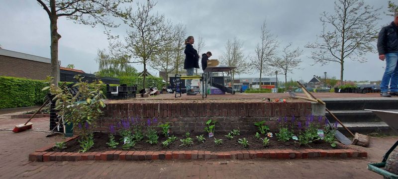 steenbreek wergea groen