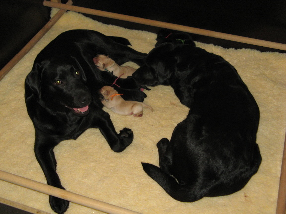 20080410bakerpraat.jpg