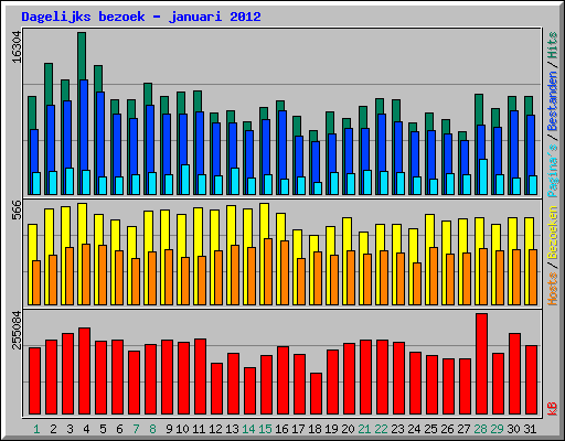 Dagelijks bezoek - januari 2012