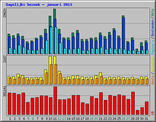 Dagelijks bezoek - januari 2013