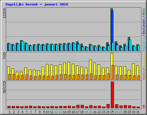 Dagelijks bezoek - januari 2019