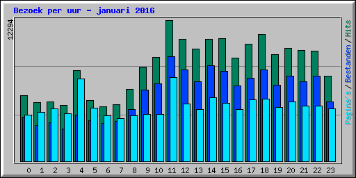 Bezoek per uur - januari 2016