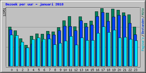 Bezoek per uur - januari 2018